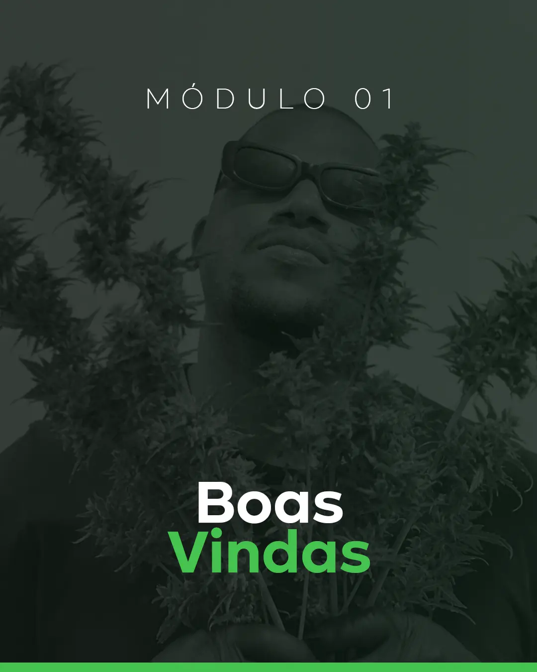 01 - Boas Vindas