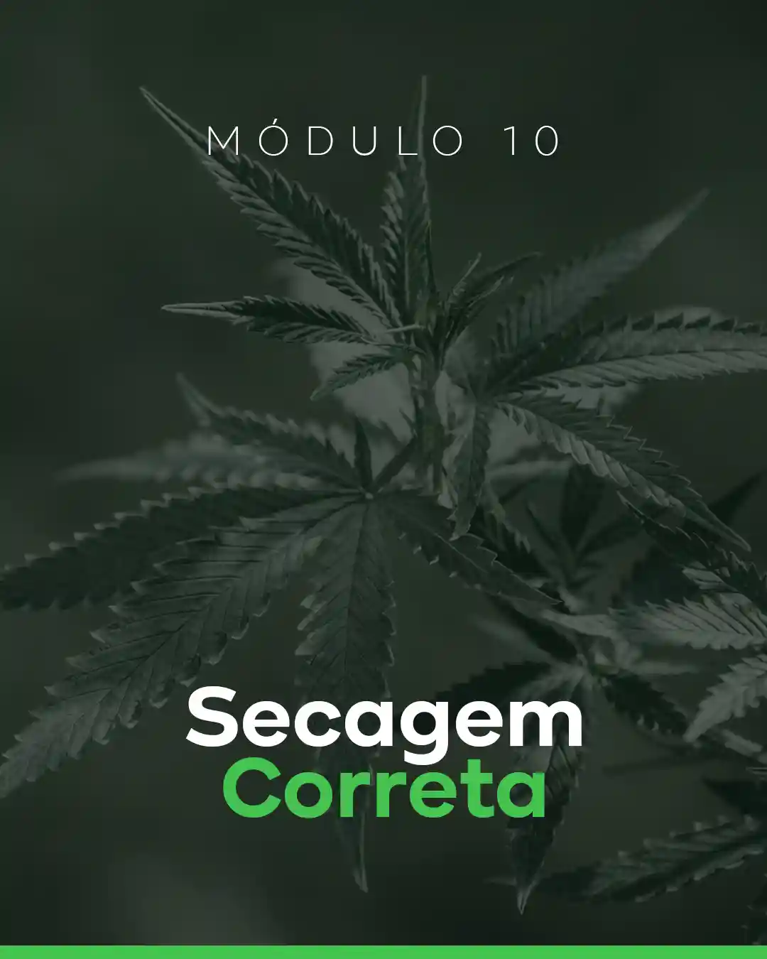 10 - Secagem